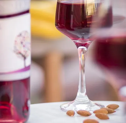 Guest house Viaggio Elegant