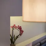 招待所 Viaggio Elegant 干尼亞